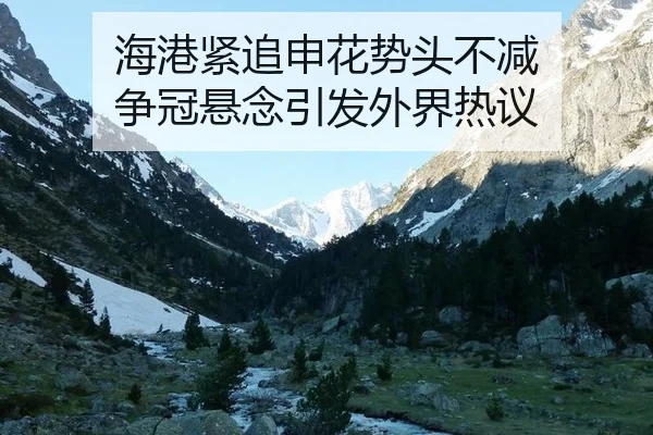 海港紧追申花势头不减 争冠悬念引发外界热议